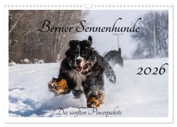 Cover-Bild zum Titel 'Berner Sennenhunde - Die sanften Powerpakete (Wandkalender 2026 DIN A3 quer), CALVENDO Monatskalender' von 'Jana K. Fotografie'