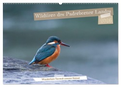 Cover-Bild zum Titel 'Wildtiere des Paderborner Landes (Wandkalender 2026 DIN A2 quer), CALVENDO Monatskalender' von 'Martin Korelski'