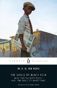 Cover-Bild zum Titel 'The Souls of Black Folk' von 'W E B Du Bois'
