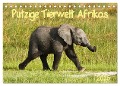 Putzige Tierwelt Afrikas (Tischkalender 2025 DIN A5 quer), CALVENDO Monatskalender - Nadine Haase