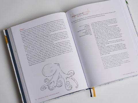 InsideView 16