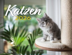 Kalender Katzen 2026 Eintragkalender - 