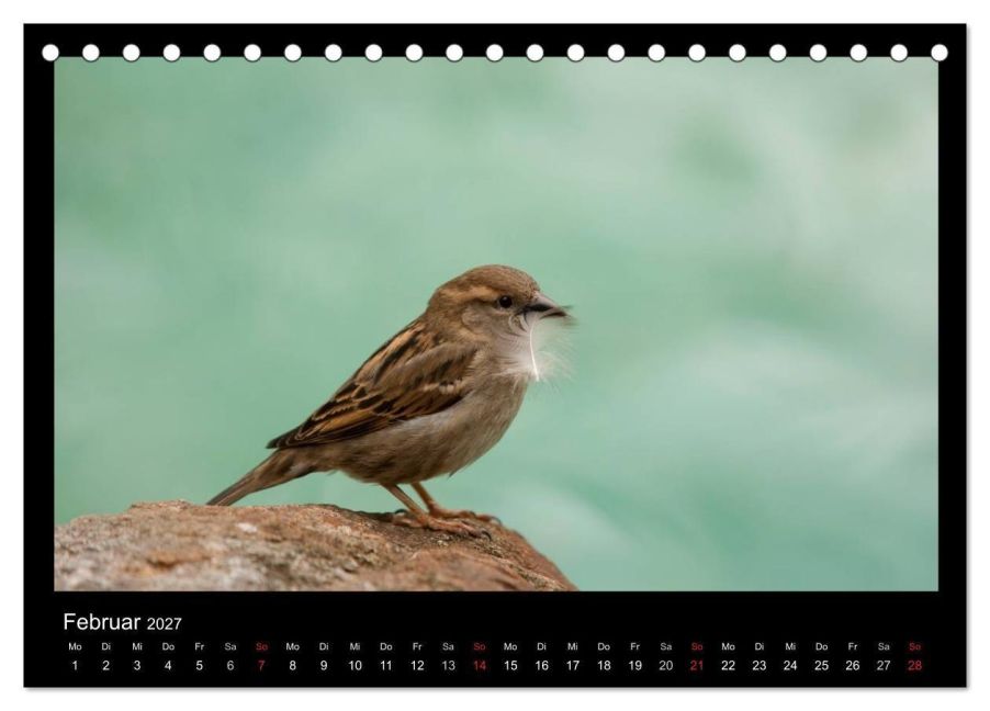 InsideView 7