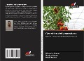 Cover-Bild zum Titel 'Genetica del pomodoro' von 'Virendra Kumar, Sanjay Kumar, Vipin Kumar'