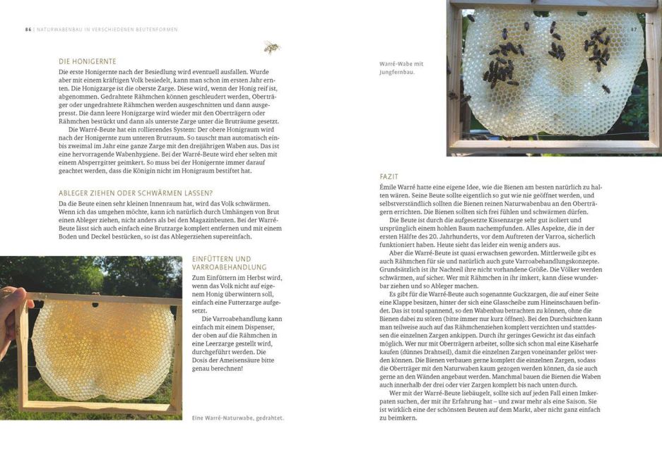 InsideView 3