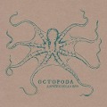Octopoda - Lofoten Cello Duo