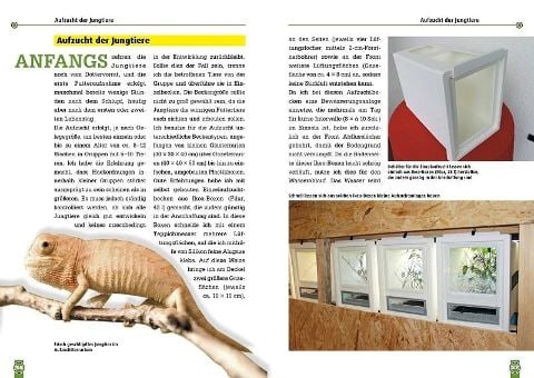 InsideView 2