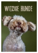 Witzige Hunde (Wandkalender 2025 DIN A2 hoch), CALVENDO Monatskalender - Birte Zabel
