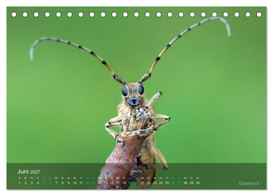 InsideView 11