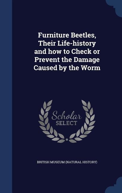 Furniture Beetles, Their Life-history and how to Check or Prevent the Damage Caused by the Worm - 