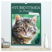 Stubentiger im Portrait (hochwertiger Premium Wandkalender 2026 DIN A2 hoch), Kunstdruck in Hochglanz - Sabine Löwer