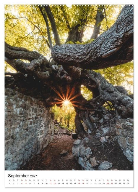 InsideView 14