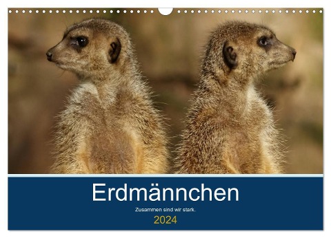 Erdmännchen - Zusammen sind wir stark (Wandkalender 2024 DIN A3 quer), CALVENDO Monatskalender - Peter Hebgen