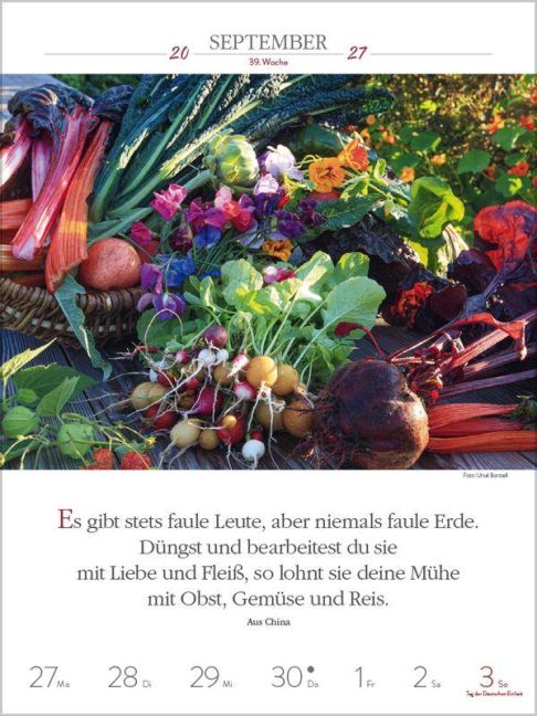InsideView 12