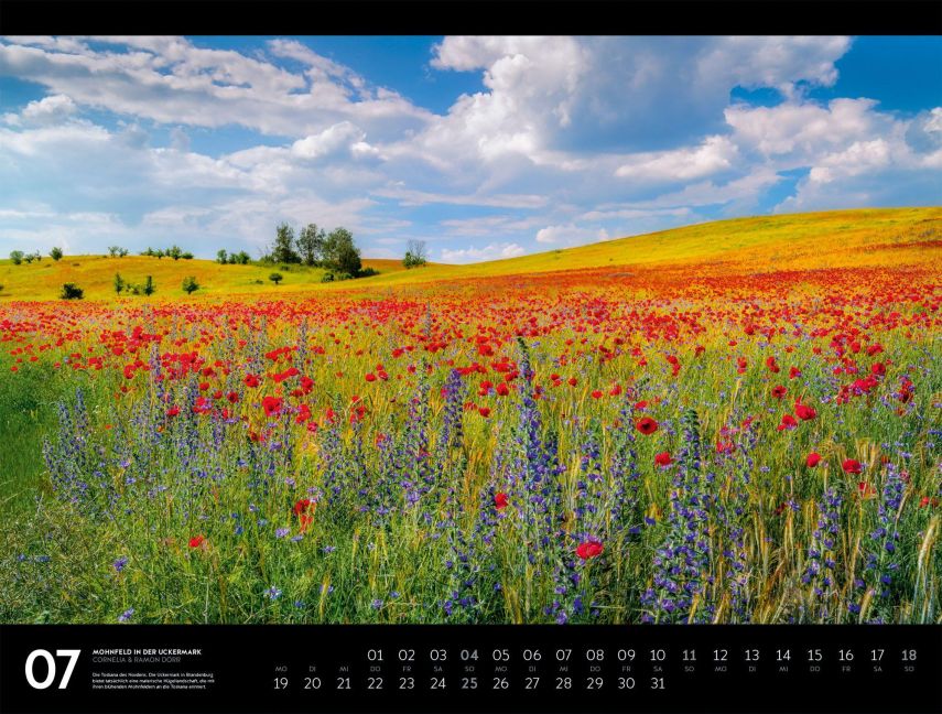 InsideView 7