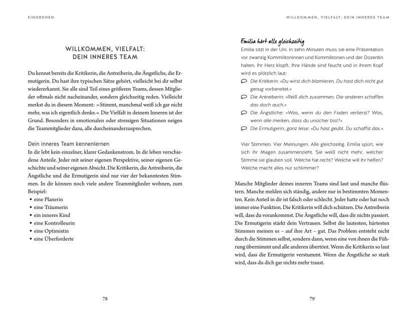 InsideView 6