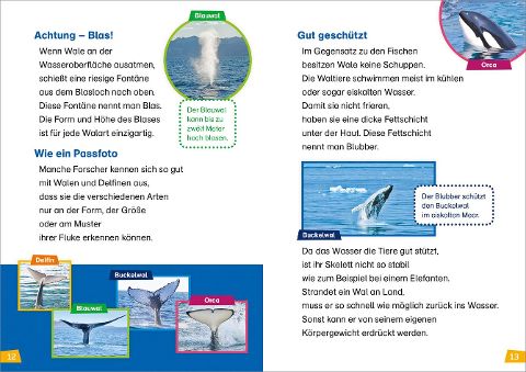 InsideView 5