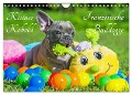 Kleiner Kobold Französische Bulldogge (Wandkalender 2025 DIN A4 quer), CALVENDO Monatskalender - Sigrid Starick