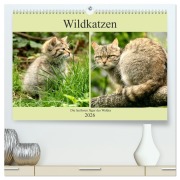 Wildkatzen - Die lautlosen Jäger des Waldes (hochwertiger Premium Wandkalender 2026 DIN A2 quer), Kunstdruck in Hochglanz - Arno Klatt