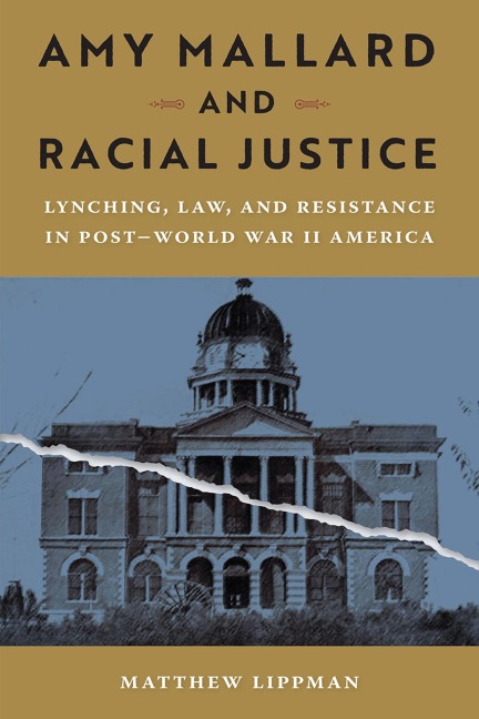 Amy Mallard and Racial Justice - Matthew Lippman