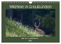 Wildtiere in Graubünden - Die Natur entdecken! (Wandkalender 2024 DIN A4 quer), CALVENDO Monatskalender - Www. Naturfoto-Plattner. Ch Jürg Plattner
