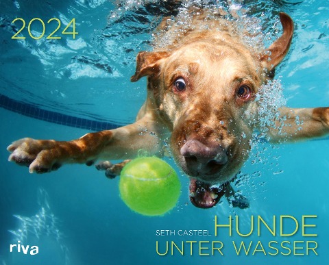 Hunde unter Wasser 2024 - Seth Casteel