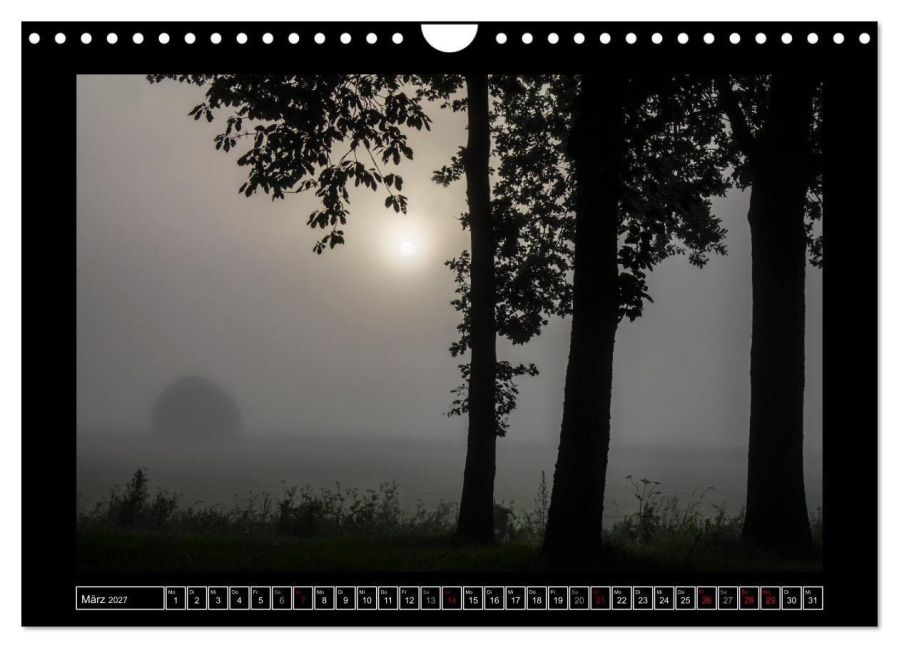InsideView 8