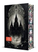 Cover-Bild zum Titel 'Bane of Irás' von 'A. C. Nyra'