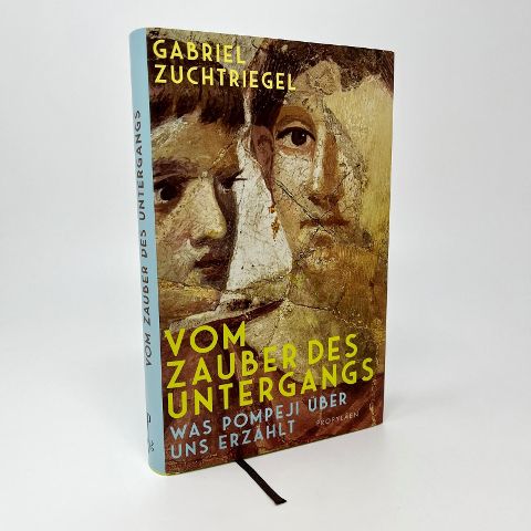 InsideView 1