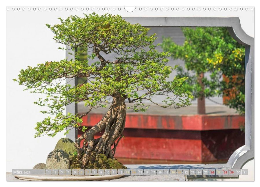 InsideView 8