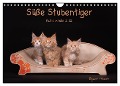 Süße Stubentiger - Katzenkinder (Wandkalender 2025 DIN A4 quer), CALVENDO Monatskalender - Regine Heuser