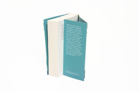 InsideView 6