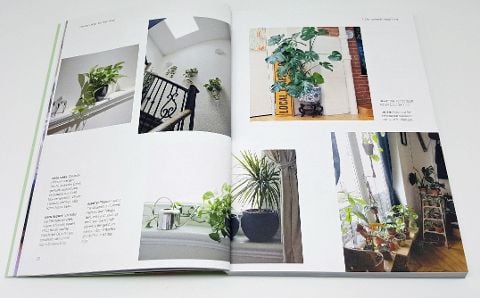 InsideView 5