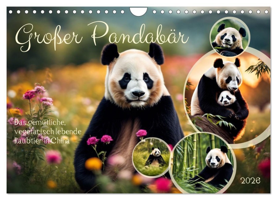 Großer Pandabär (Wandkalender 2026 DIN A4 quer), CALVENDO Monatskalender - Claudia Kleemann