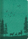 Buchkalender Nature Line Forest 2024 - Taschen-Kalender A5 - 1 Tag 1 Seite - 416 Seiten - Umwelt-Kalender - mit Hardcover - Alpha Edition - 