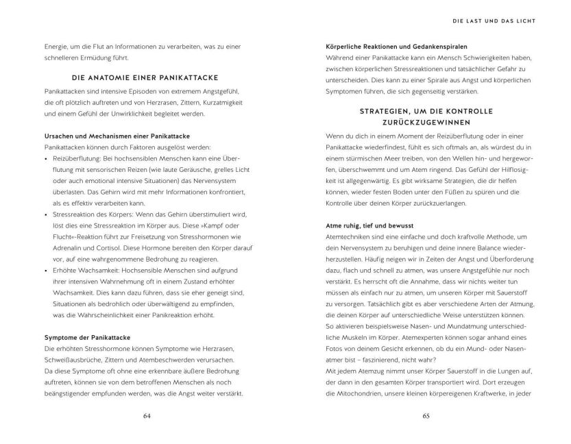 InsideView 6