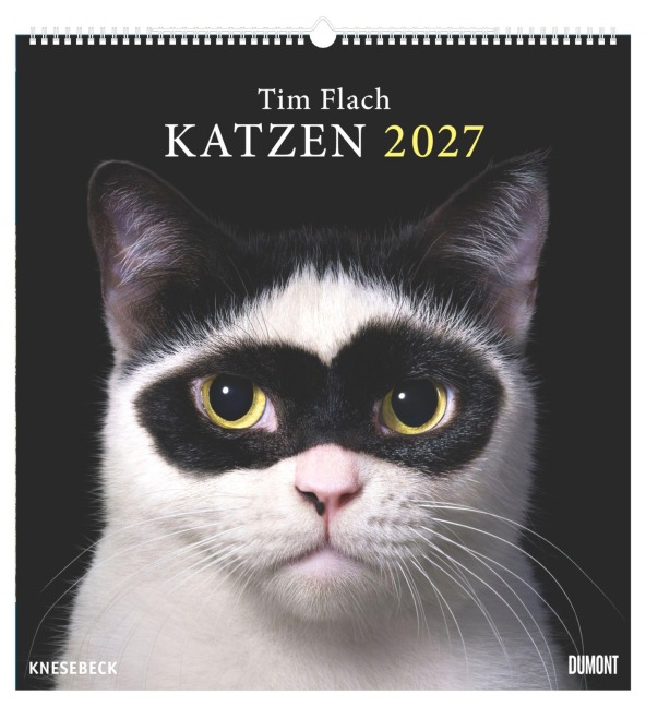 Tim Flach: Katzen 2027 - 