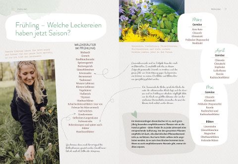 InsideView 5