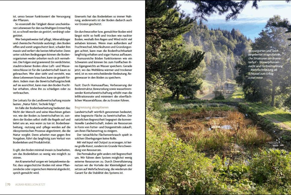 InsideView 4