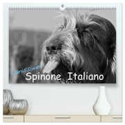 Cover-Bild zum Titel 'Carissimo Spinone Italiano (hochwertiger Premium Wandkalender 2026 DIN A2 quer), Kunstdruck in Hochglanz' von 'Silvia Drafz'