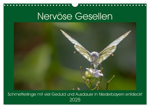 Nervöse Gesellen (Wandkalender 2025 DIN A3 quer), CALVENDO Monatskalender - Werner Baisch