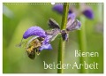 Bienen bei der Arbeit (Wandkalender 2024 DIN A3 quer), CALVENDO Monatskalender - Zlatko Kropf