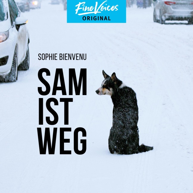 Sam ist weg - Sophie Bienvenu