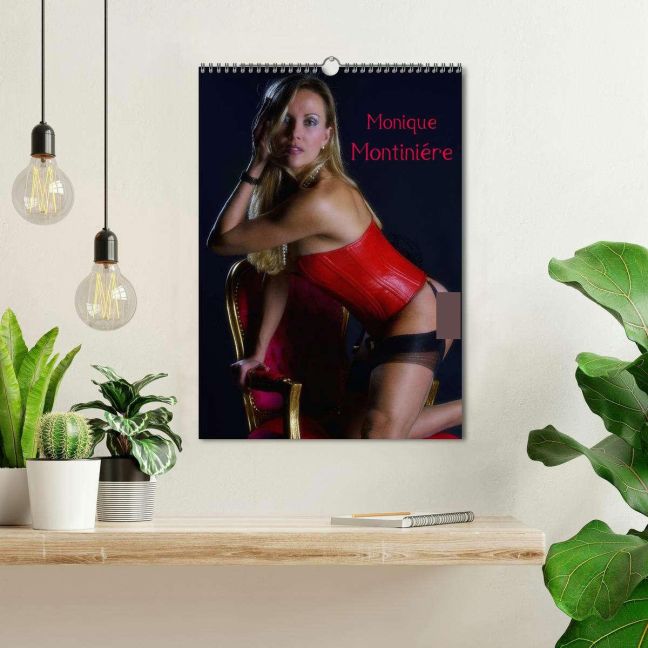 InsideView 1