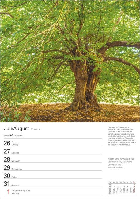 InsideView 11
