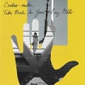 Cover-Bild zum Titel 'Take Pride in Your Long Odds' von 'Centro-Matic'