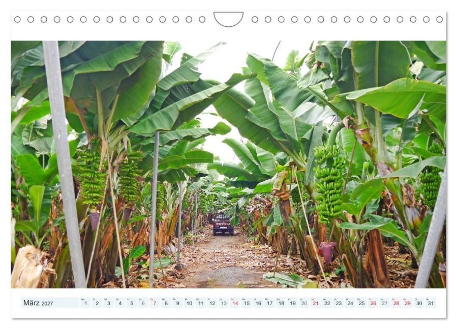 InsideView 8
