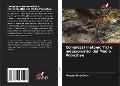 Cover-Bild zum Titel 'Complessi metamorfici e metasomatici del Medio Pobuzhye' von 'Sergey Goryainov'