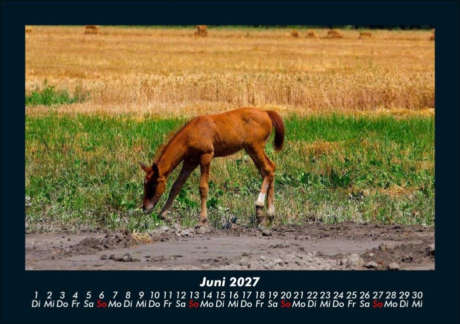 InsideView 10
