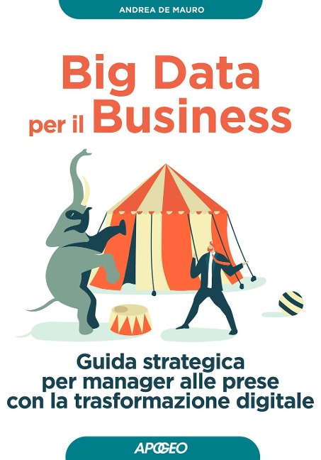 Big data per il business. Guida strategica per manager alle prese con la trasformazione digitale - Andrea de Mauro